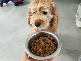 찬이애비님이 올린 리뷰 사진 4