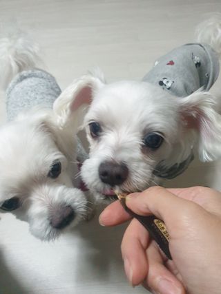 고롸고롸고롸님이 올린 리뷰 사진 2