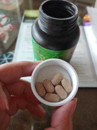 슬림플래닛 녹차카테킨 500mg 애프터밀 — 5점을 준 리뷰어가 2021년 3월 올린 사용 사진