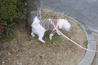 🍑여신🇰🇷샤🎀맘🍑님이 올린 리뷰 사진 3