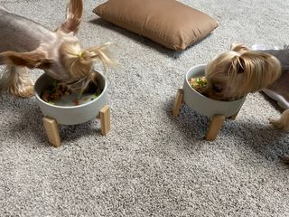 김쟈님이 올린 리뷰 사진 2