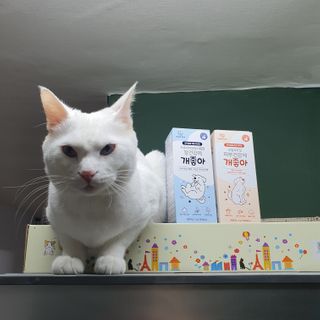 My Pet Care 모발과 모질 피부건강에 개좋아 — 5점을 준 리뷰어가 2021년 2월 올린 사용 사진