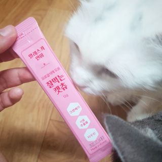 페페로니 잘 먹는 캣츄 - 알래스카 연어 24개입 — 5점을 준 리뷰어가 2021년 7월 올린 사용 사진