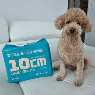 아베크 펫 와이드 프리미엄 대형 애견 강아지 배변 패드 30매 1팩 80g — 5점을 준 리뷰어가 2021년 7월 올린 사용 사진