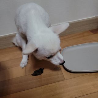 원은님이 올린 리뷰 사진 2