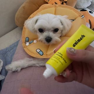 으녜님이 올린 리뷰 사진 3