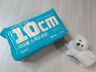 아베크 펫 와이드 프리미엄 중형 애견 강아지 배변 패드 54매 1팩 45g — 4점을 준 리뷰어가 2021년 7월 올린 사용 사진