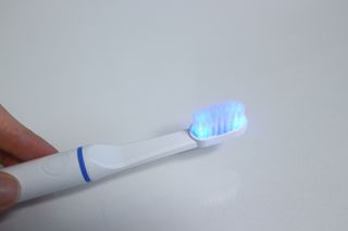쇼이쇼이님이 올린 리뷰 사진 1