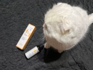 화이집사님이 올린 리뷰 사진 2