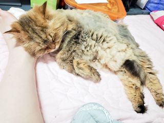 옹알이님이 올린 리뷰 사진 3
