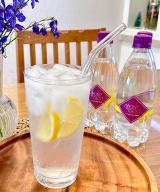 몽베스트 Montbest with Sparkling water Lemon OR Lime 20병(랜덤) — 5점을 준 리뷰어가 2024년 4월 올린 사용 사진