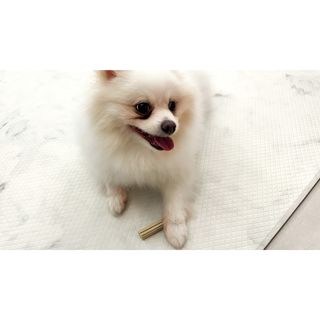 심쿵해에님이 올린 리뷰 사진 3
