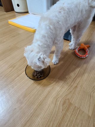 삐랭이님이 올린 리뷰 사진 3