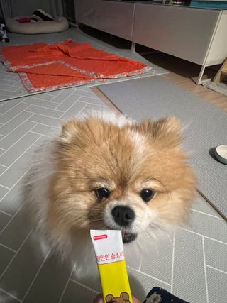 ari님이 올린 리뷰 사진 3