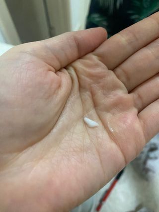 댕댕이님이 올린 리뷰 사진 3
