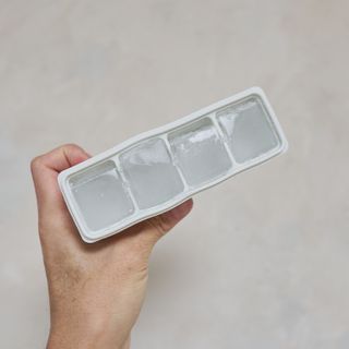 니디즈 포트아이스 2단 밀폐 실리콘 얼음틀 — 5점을 준 리뷰어가 2023년 1월 올린 사용 사진