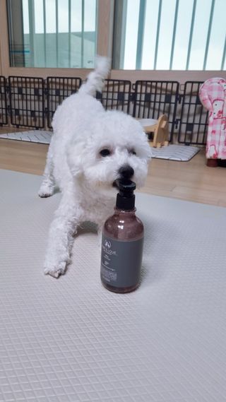 마리앤루이펫샴푸 [mari and louie pet shampoo] — 5점을 준 리뷰어가 2021년 6월 올린 사용 사진