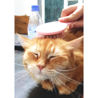 홍스방스님이 올린 리뷰 사진 1