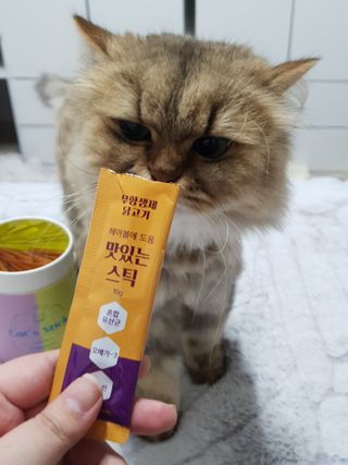 페페로니 맛있는 스틱 - 무항생제 닭고기 15개 + 원양선 참치 15개 — 5점을 준 리뷰어가 2021년 8월 올린 사용 사진