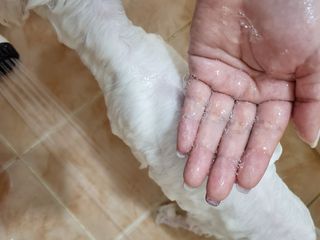 Na.me님이 올린 리뷰 사진 3