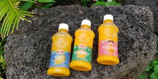 탐라원 제주의 맛, 몬딱주스 4종세트 - 한라봉몬딱주스, 천혜향몬딱주스, 청귤에이드, 당근몬딱주스 — 5점을 준 리뷰어가 2021년 8월 올린 사용 사진
