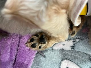 꿀님이 올린 리뷰 사진 3