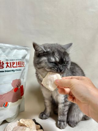 이아름율둥맘님이 올린 리뷰 사진 3
