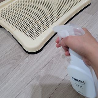 썽이mom앙꼬님이 올린 리뷰 사진 3