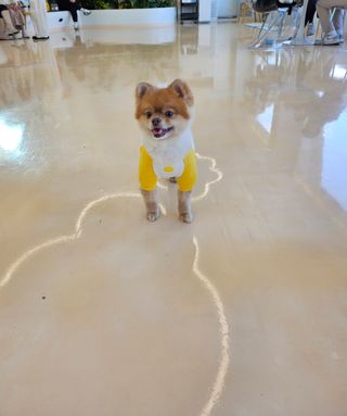 미뎡님이 올린 리뷰 사진 1