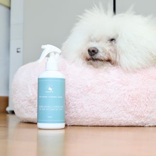 O리님이 올린 리뷰 사진 3