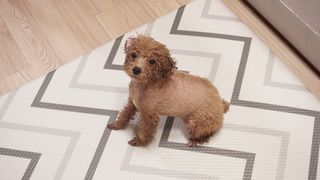 김은혜님이 올린 리뷰 사진 2