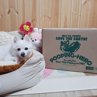 떠뇽님이 올린 리뷰 사진 2