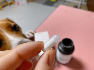 메디타민 원헌드레드 NAG — 5점을 준 리뷰어가 2021년 9월 올린 사용 사진