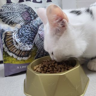 skylove님이 올린 리뷰 사진 2