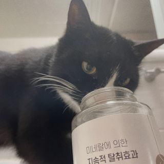 나르미르님이 올린 리뷰 사진 1