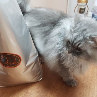 비니씨님이 올린 리뷰 사진 4