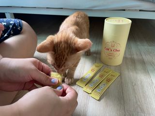 페페로니 잘 먹는 캣츄 - 무항생제 닭고기 24개입 — 5점을 준 리뷰어가 2021년 7월 올린 사용 사진