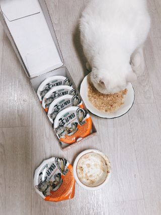 마요마요님이 올린 리뷰 사진 2