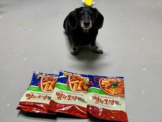 콩이누나님이 올린 리뷰 사진 2