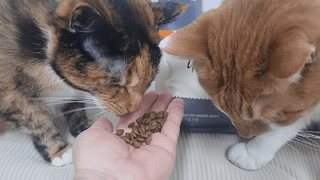 오나오나님이 올린 리뷰 사진 1