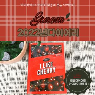리훈 2022년 아이라이크 다이어리 — 4점을 준 리뷰어가 2021년 10월 올린 사용 사진