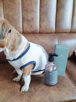 마리앤루이펫샴푸 [mari and louie pet shampoo] — 5점을 준 리뷰어가 2021년 5월 올린 사용 사진