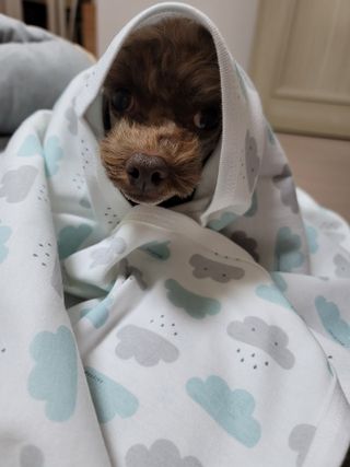나초단맘님이 올린 리뷰 사진 1