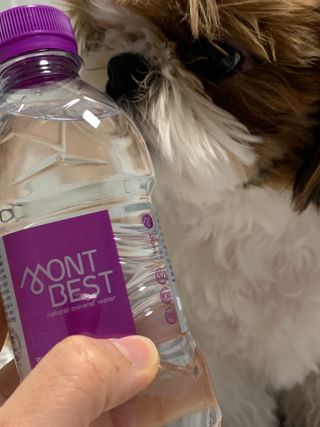 몽베스트 [MONTBEST] 330mL 20병 — 5점을 준 리뷰어가 2022년 3월 올린 사용 사진