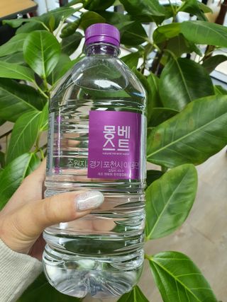 몽베스트 MONTBEST 1L 12입 — 5점을 준 리뷰어가 2022년 4월 올린 사용 사진