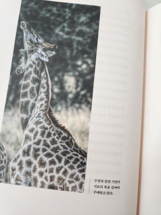 angellappp님이 올린 리뷰 사진 3
