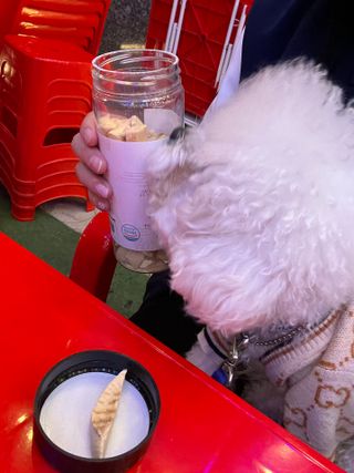 부르르펫 야미트릿 틸라피아 60g — 5점을 준 리뷰어가 2021년 11월 올린 사용 사진