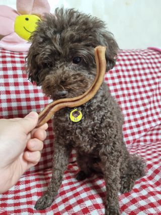 깨비님이 올린 리뷰 사진 2