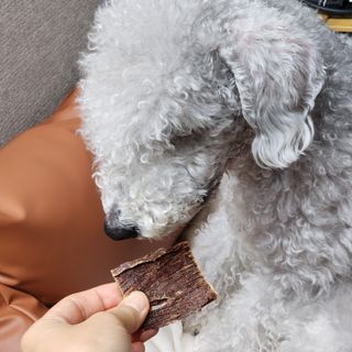 윤희님이 올린 리뷰 사진 1