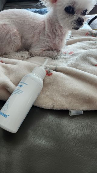 [댕모어 클리너 3종] 아이클리너 / 이어클리너 / 덴탈클리너 3종 세트 (120ml) — 5점을 준 리뷰어가 2024년 3월 올린 사용 사진